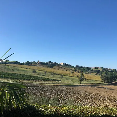 Rosina Mit Pool Auf Einem Weinberg In Den Marken Italiens Nahe Strand * Molino Apolloni