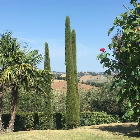 Rosina Mit Pool Auf Einem Weinberg In Den Marken Italiens Nahe Strand